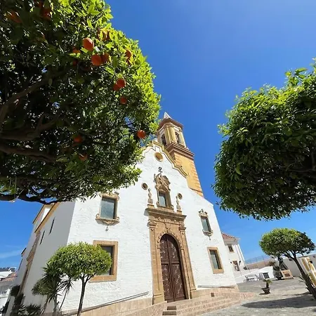Apartamento With Roof Terrace In The Historic Center *